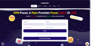 Perfect Panel Script With 10+ Payment Gateway