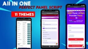 Perfect Panel Script - 12 Premium Themes | Advanced & Bug-Free SMM Panel🚀
